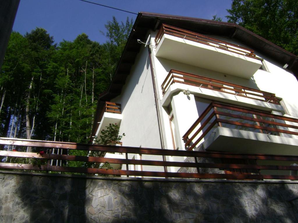 Casa Anotimpuri Hotel Sinaia Exterior photo